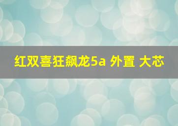 红双喜狂飙龙5a 外置 大芯